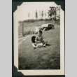 Boy sits in on the lawn (ddr-densho-359-1035)