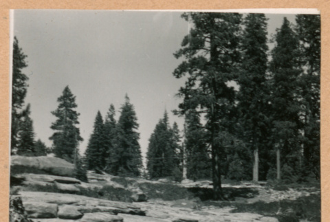 river bank (ddr-densho-468-321)