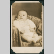 Portrait of a baby (ddr-densho-359-1073)
