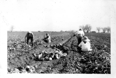 Taenaka family in a farm (ddr-csujad-25-91)