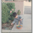 Boy with Easter egg (ddr-densho-523-424)