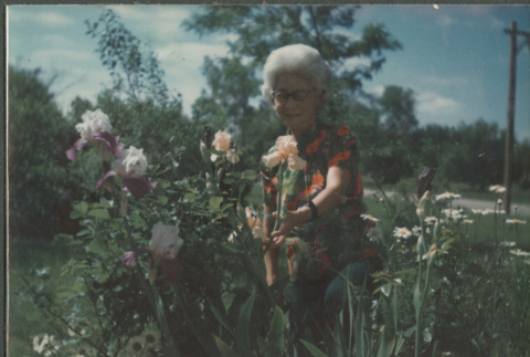 Woman standing by rose bush (ddr-densho-523-535)