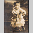 Portrait of toddler (ddr-densho-493-167)