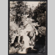 Waterfall with trees (ddr-densho-468-420)