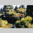 4th International Japanese Garden Assoc. (ddr-densho-354-1571)