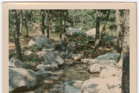 Photograph (ddr-densho-377-2993-mezzanine-b8ee95db5c)