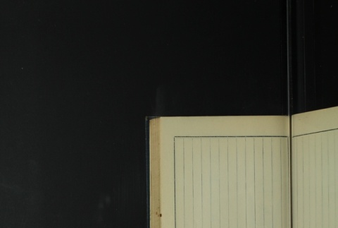 Page 407 (ddr-densho-255-4-master-7558969c8e)