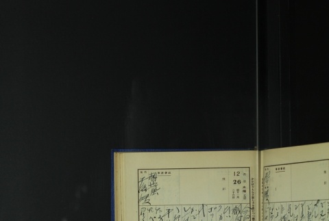 Page 385 (ddr-densho-255-6-master-94e8002a39)