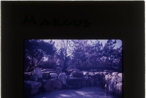 Pond at the Marcus project (ddr-densho-377-791)