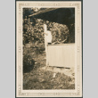 Girl on porch (ddr-densho-316-273)