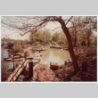 Pond with stepping stones (ddr-densho-377-2098)