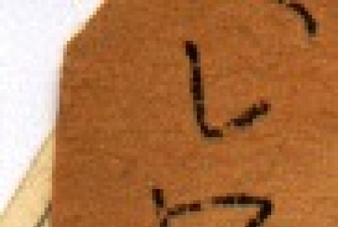Back (ddr-njpa-4-695-master-8216dca7d0)