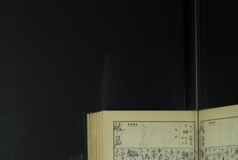 Page 219 (ddr-densho-255-8-master-719b32b14f)