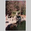 Rock feature near pool (ddr-densho-377-1970)