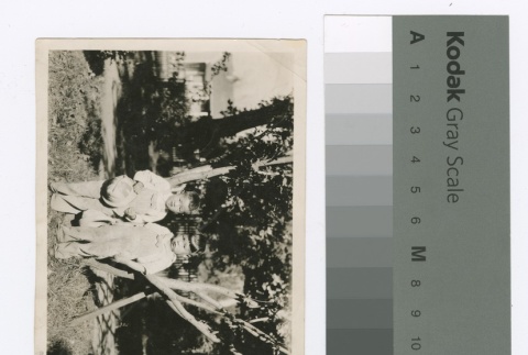 Two Nisei boys wearing overalls (ddr-densho-255-95)