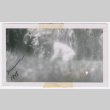 David in grass, Summer 1948 (ddr-densho-462-48)