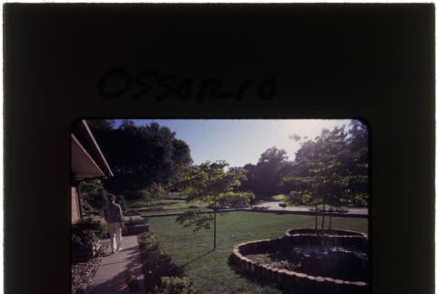 Garden at the Ossorio project (ddr-densho-377-761)