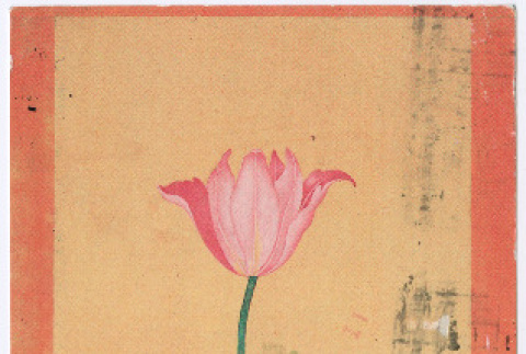 Postcard from Michi Kobi to Kaneji Domoto (ddr-densho-329-1210)