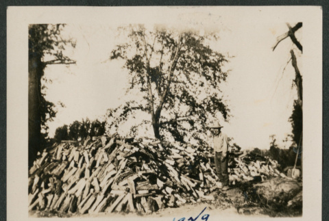 man next to wood pile (ddr-densho-378-468)