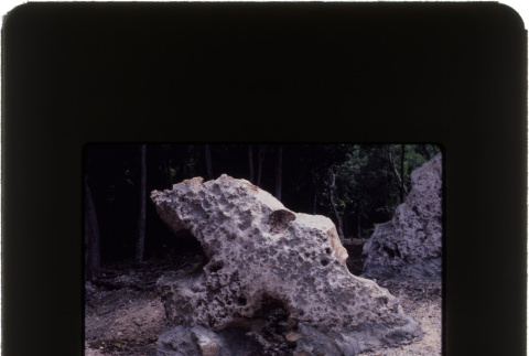 Landscaping rocks (ddr-densho-377-634)