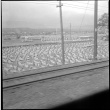 Photo of rice fields, taken from train (ddr-densho-426-299)