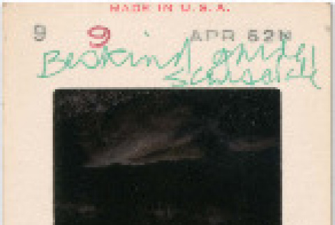 Front and back (ddr-densho-377-382-mezzanine-6f793a98b0)