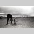 Man watering a tree at the Manzanar Pilgrimage (ddr-manz-3-37)