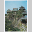 Blank Postcard of Matsuyama Castle (ddr-ohs-1-172)