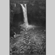 Hawaiian waterfall (ddr-densho-363-253)