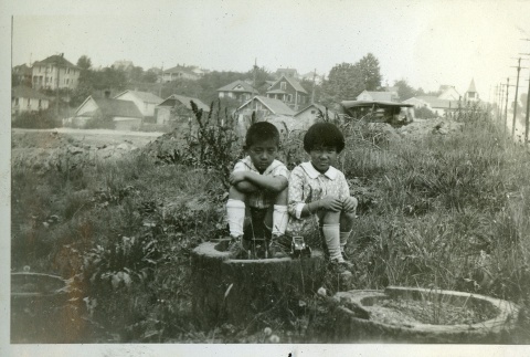 Two children sitting on a stump (ddr-densho-182-65)