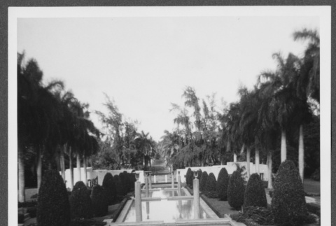 View of pools from temple (ddr-densho-363-101)