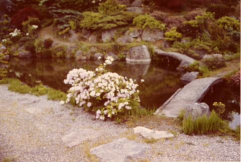 Japanese Garden with old bridge (ddr-densho-354-545)