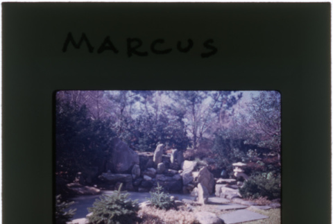 Pool and garden at the Marcus project (ddr-densho-377-454)