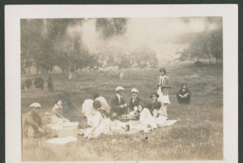 picnic (ddr-densho-378-596)
