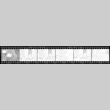Negative film strip for Farewell to Manzanar scene stills (ddr-densho-317-249)