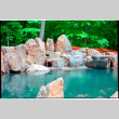 Pool with rock feature (ddr-densho-377-2602)