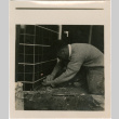 Man working on tile (ddr-densho-426-1402)