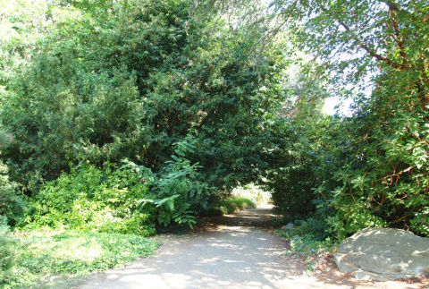 Entrance to Stroll Garden (ddr-densho-354-2836)