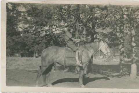 Guyo Tajiri riding a horse (ddr-densho-338-89)