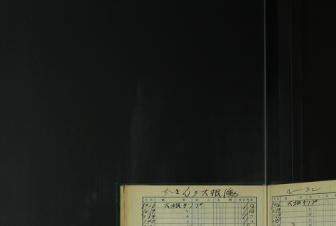 Page 421 (ddr-densho-255-8-master-5128033c1b)