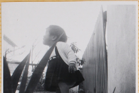 Susan Shiomi (ddr-densho-522-263)