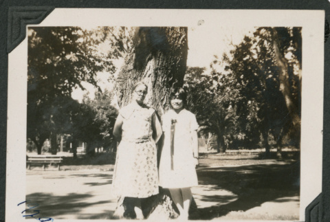 two women in front of a large tree (ddr-densho-378-603)