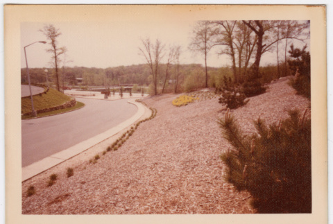 Landscaping along road (ddr-densho-377-2192)