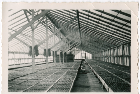Front (ddr-densho-501-13-mezzanine-4656a641f5)