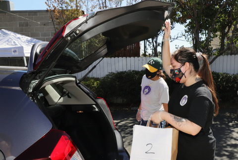 Woman loading boxes into car (ddr-densho-512-49)