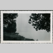 Foggy river with bridge (ddr-densho-359-1017)
