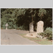 Driveway (ddr-densho-377-1793)
