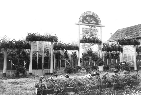 Bainbridge Gardens (ddr-densho-34-22)