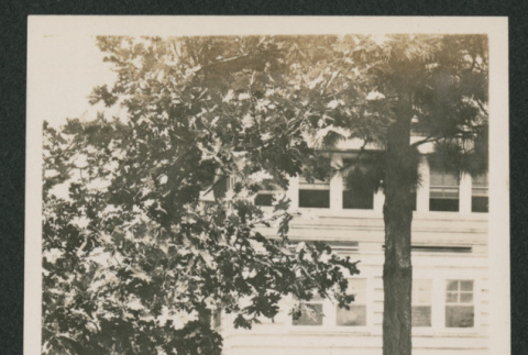 man and woman in a yard (ddr-densho-378-829)