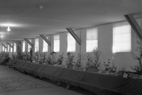 Ikebana exhibit in camp (ddr-fom-1-117)